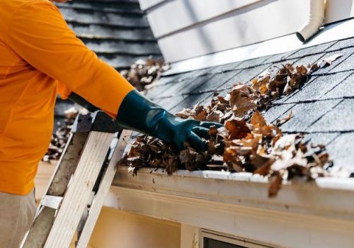 gutter cleaning