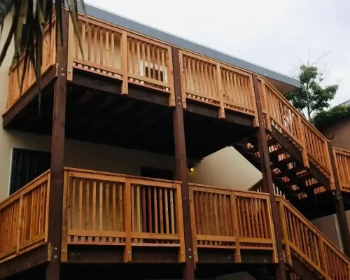 ig2